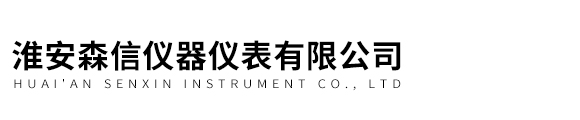 淮安森信仪器仪表有限公司